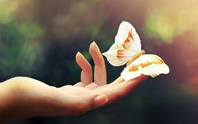 女性白带异常的原因具体是什么